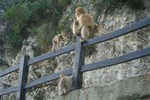 Thumb for img_4524_thbig.jpg (124 KB)