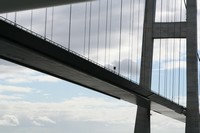 Thumb for img_5564.jpg (2409 KB)