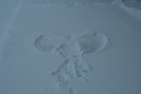 Thumb for lg_069_snow_angel.jpg (36 KB)