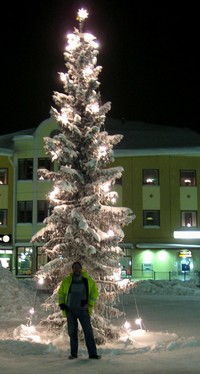 Thumb for lg_186_kiruna_tree.jpg (268 KB)