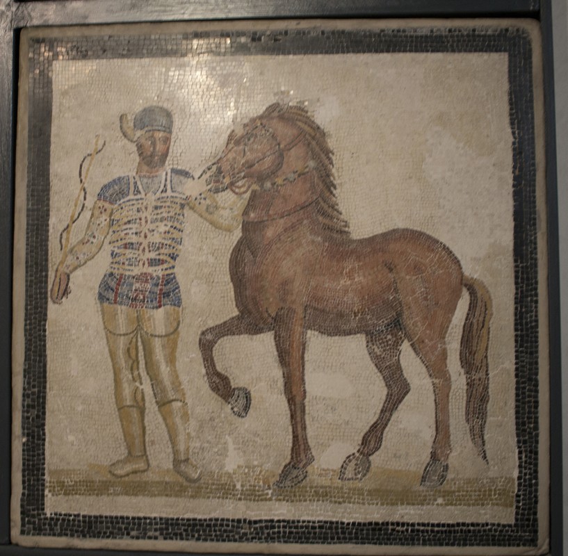 created with TNGen 0.9.7